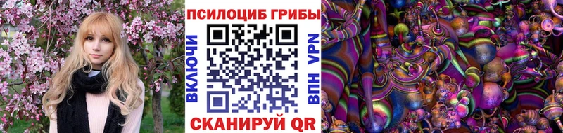 купить Донецк Псилоцибиновые грибы Cubensis